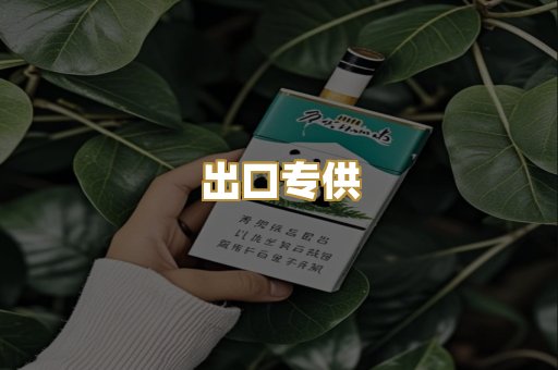 出口专供